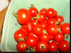 Cherry tomatoes recipe 001