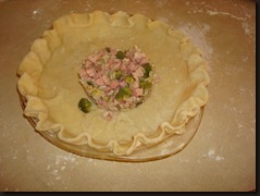 Pie crust tutorial 013