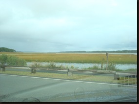 Cropper St. Chincoteague 062