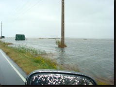 Cropper St. Chincoteague 075