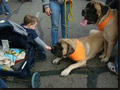 Pumpkins fesival- Circleville 015