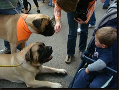 Pumpkins fesival- Circleville 016