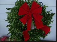 Boxwood Wreath 035