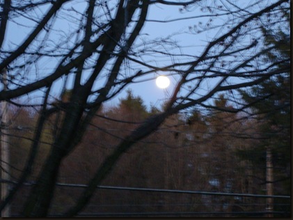 December moon 004