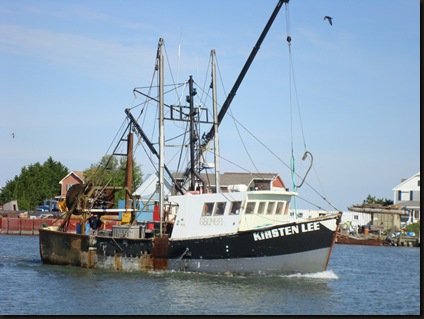 Chincoteague May-day2 014