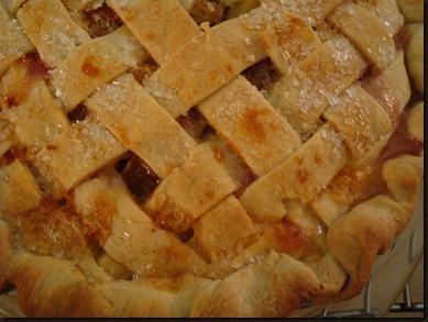 rhubarb pie and pony bread 003