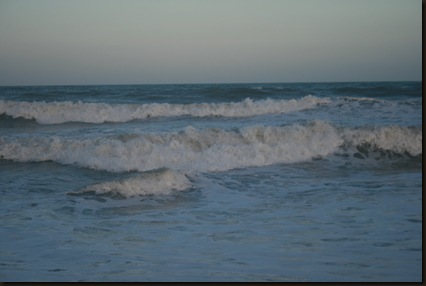 Chincoteague 2009 (Luke) 490