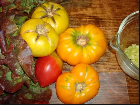 heirloom tomatos and salsa 001