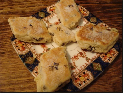 lavender and scones 015