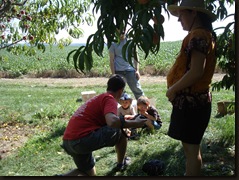 peach picking and downtown Akron-Lock3 015