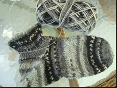 socks, yarn, L fairy 002